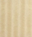 Kravet Whoa Nelly Blonde Fabric
